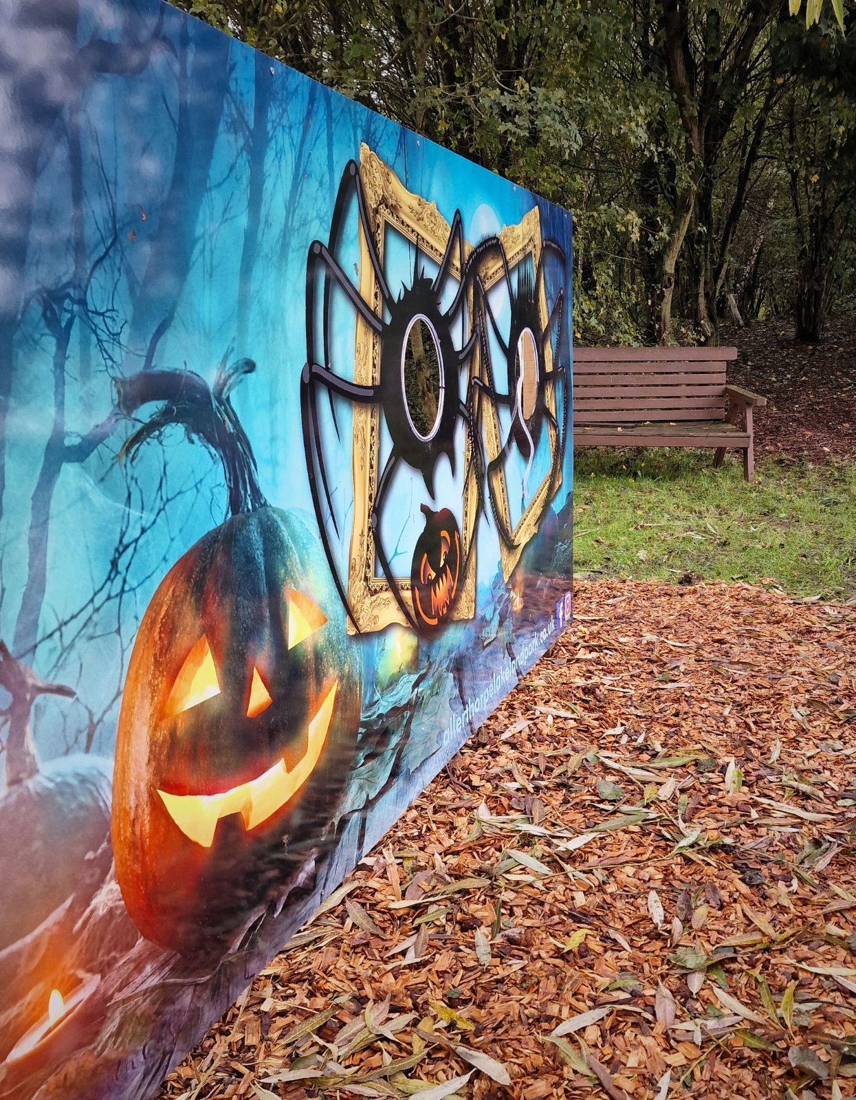 Halloween at Allerthorpe Lakeland Park